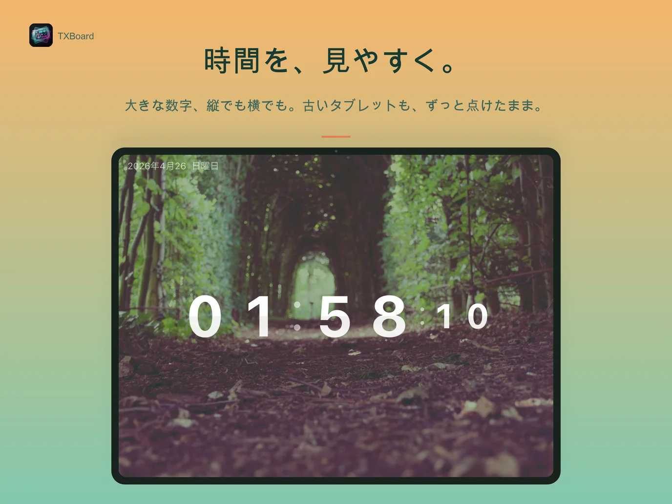 TXBoard